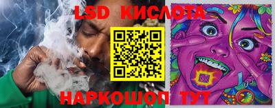 Альфа ПВП Заволжье