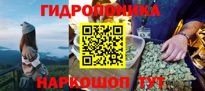 мяу мяу мука Заводоуковск