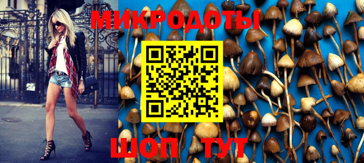 Черногорск  Псилоцибиновые грибы ЛСД  Псилоцибиновые грибы MAGIC MUSHROOMS  Вход с VPN 