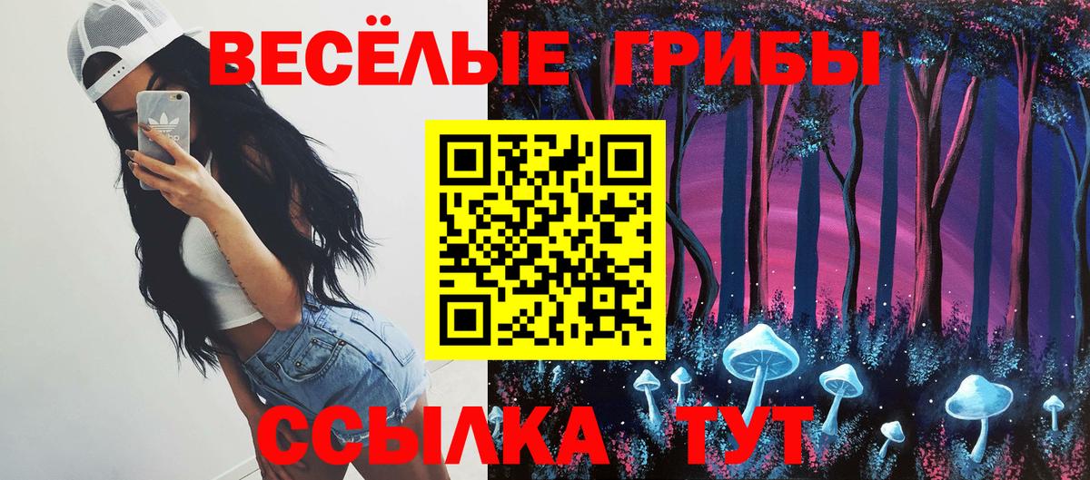 Псилоцибиновые грибы прущие грибы Черногорск